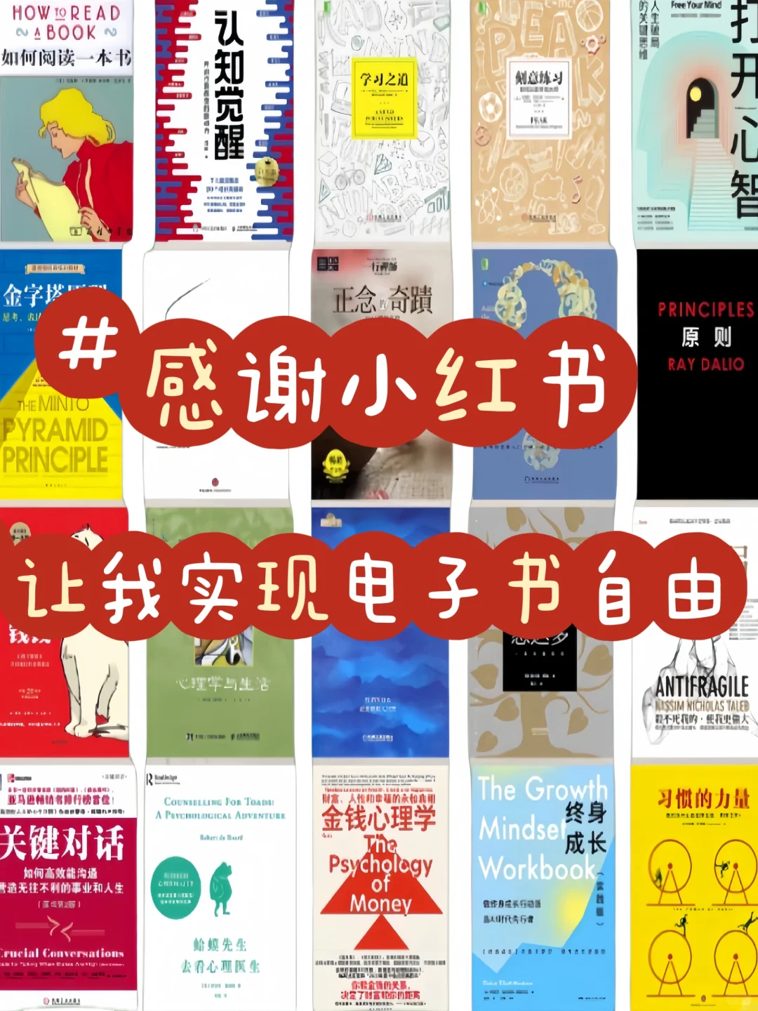 📚 告别厚重！电子书自由真的太香了！