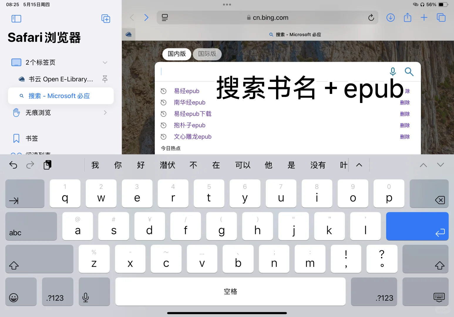 不用下载软件实现ipad免费看书自由