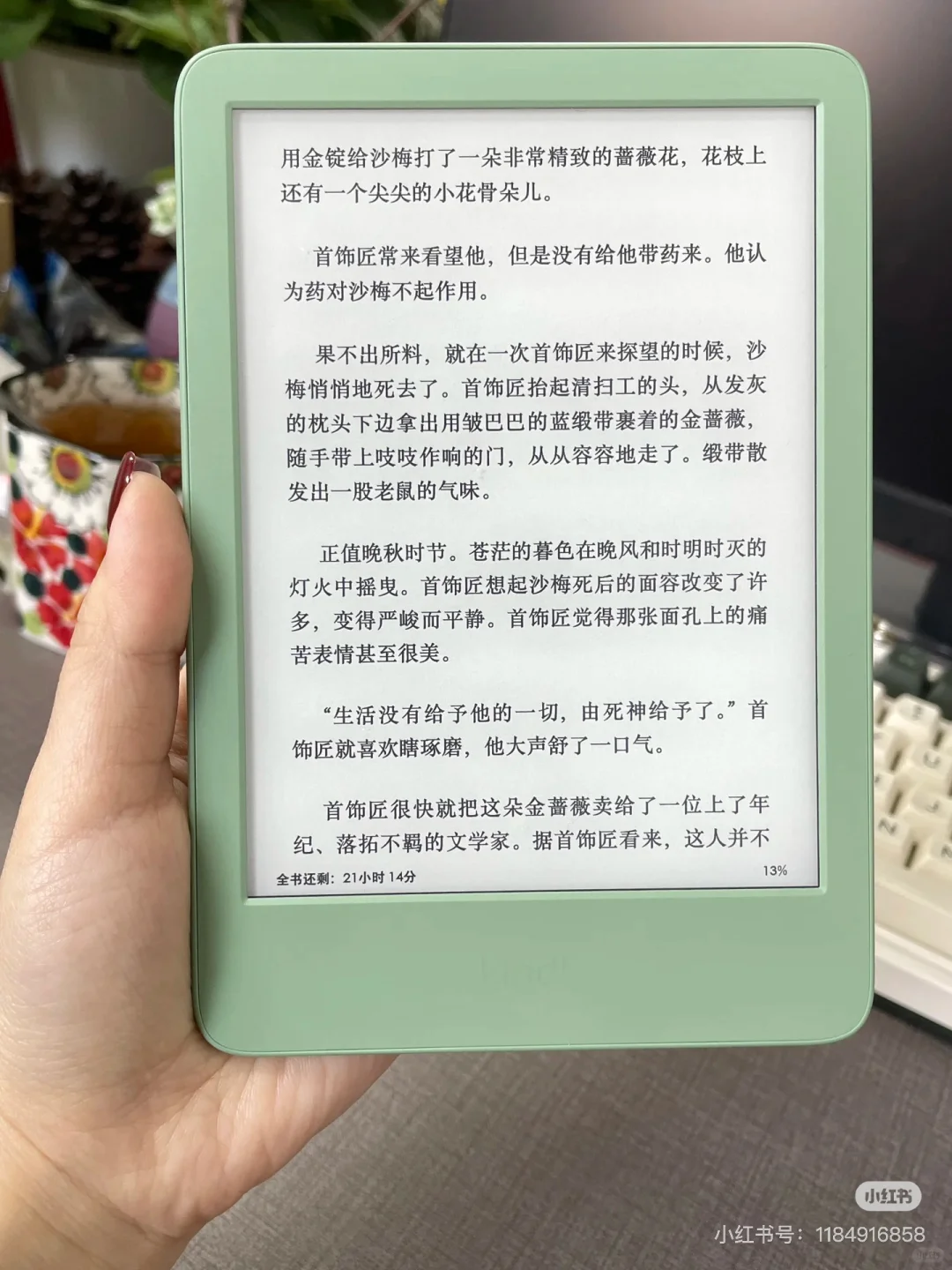 求助🆘你会选择kindle还是海信