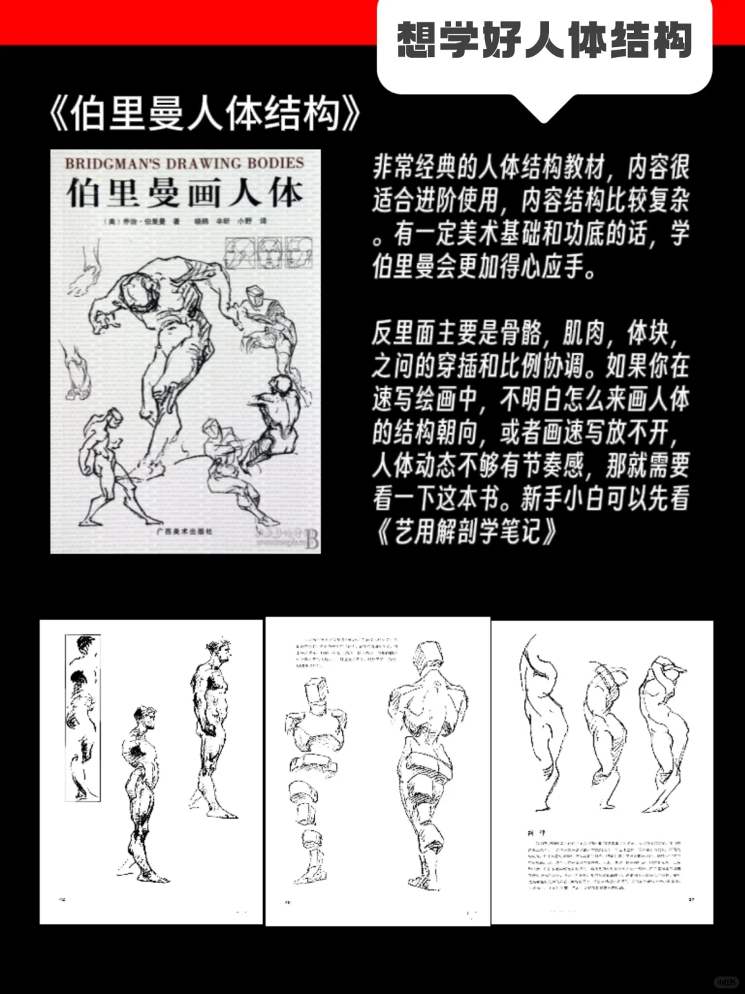 自学插画不能错过的6本宝藏书籍❗️(附pdf)