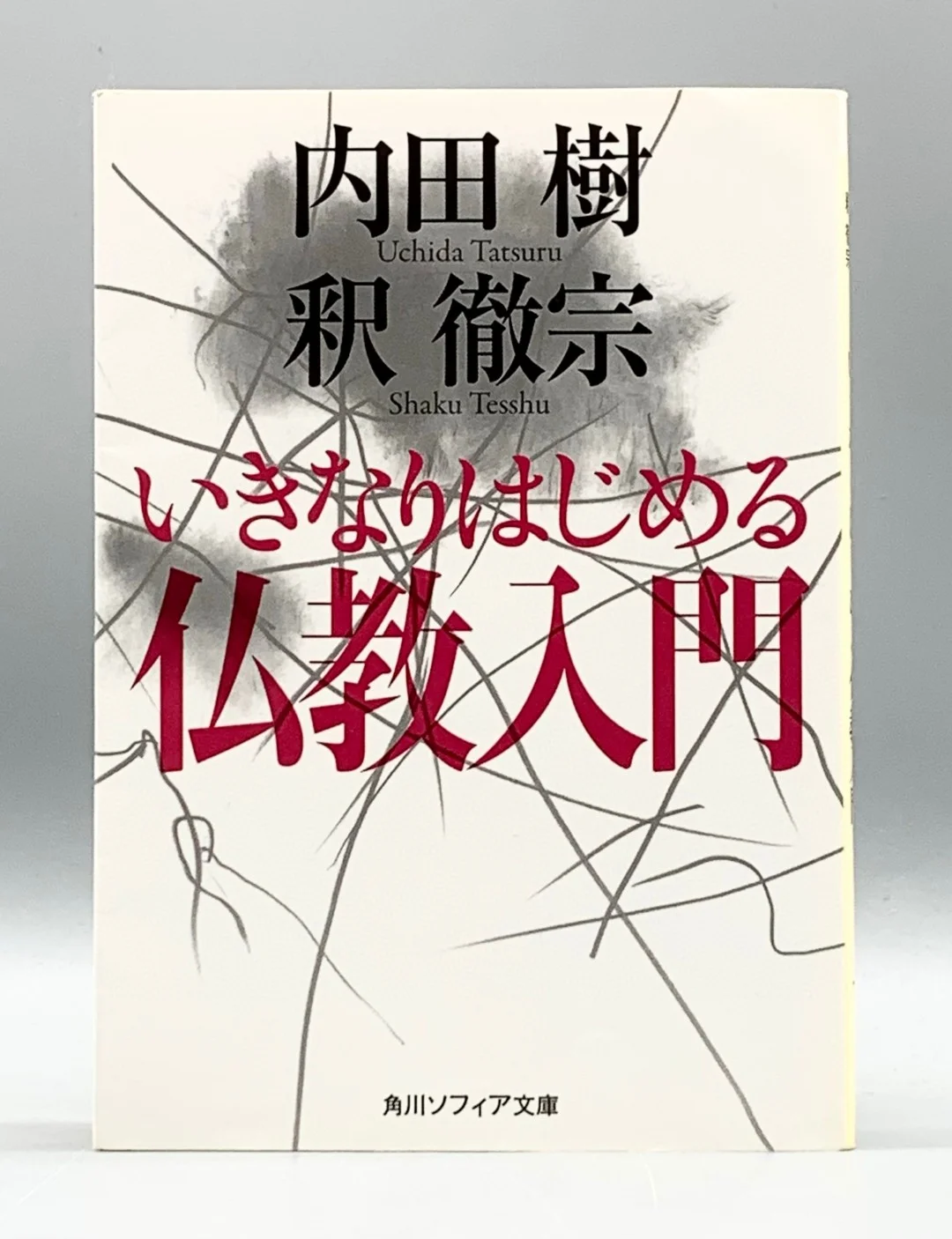 哲学家的书单📚让你的思维更上一层楼⛰️