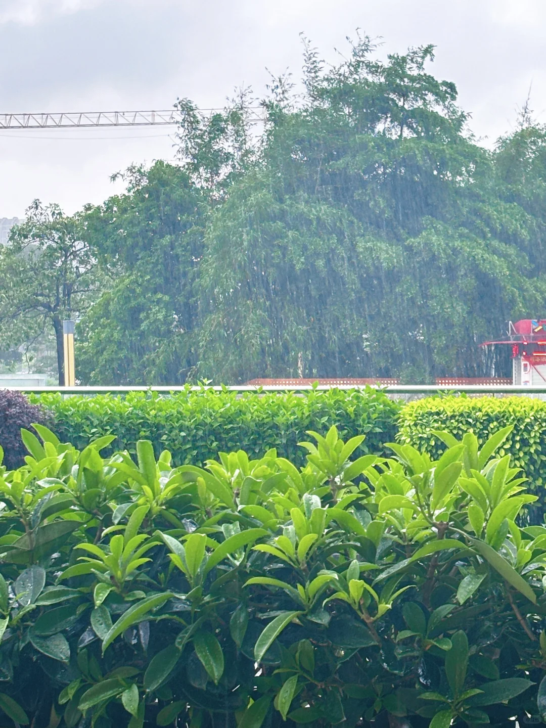 周一没班没课！广州暴雨！Kindle看书躲雨🌧️