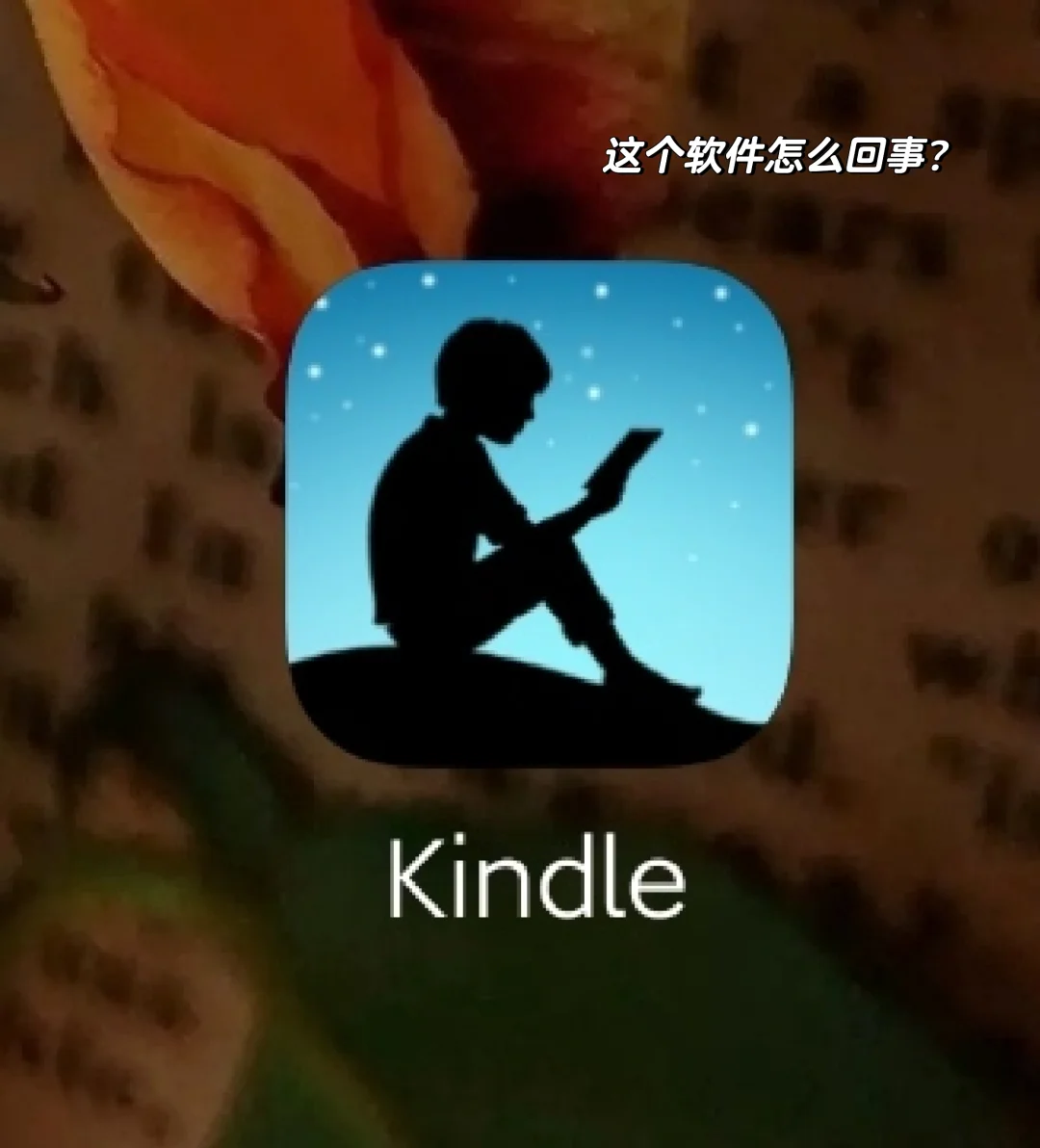 kindle怎么回事？这软件装错了吗？