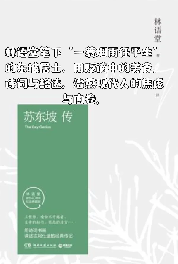 📚 私藏书单 | 拒绝内耗焦虑变成人间清醒！