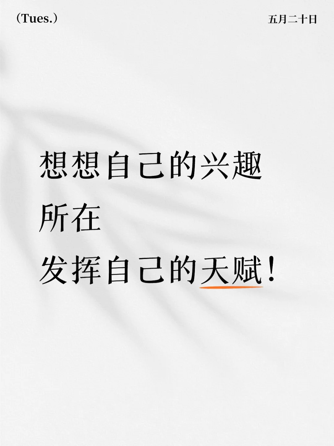 寻找天赋-📚【极速代找】资源