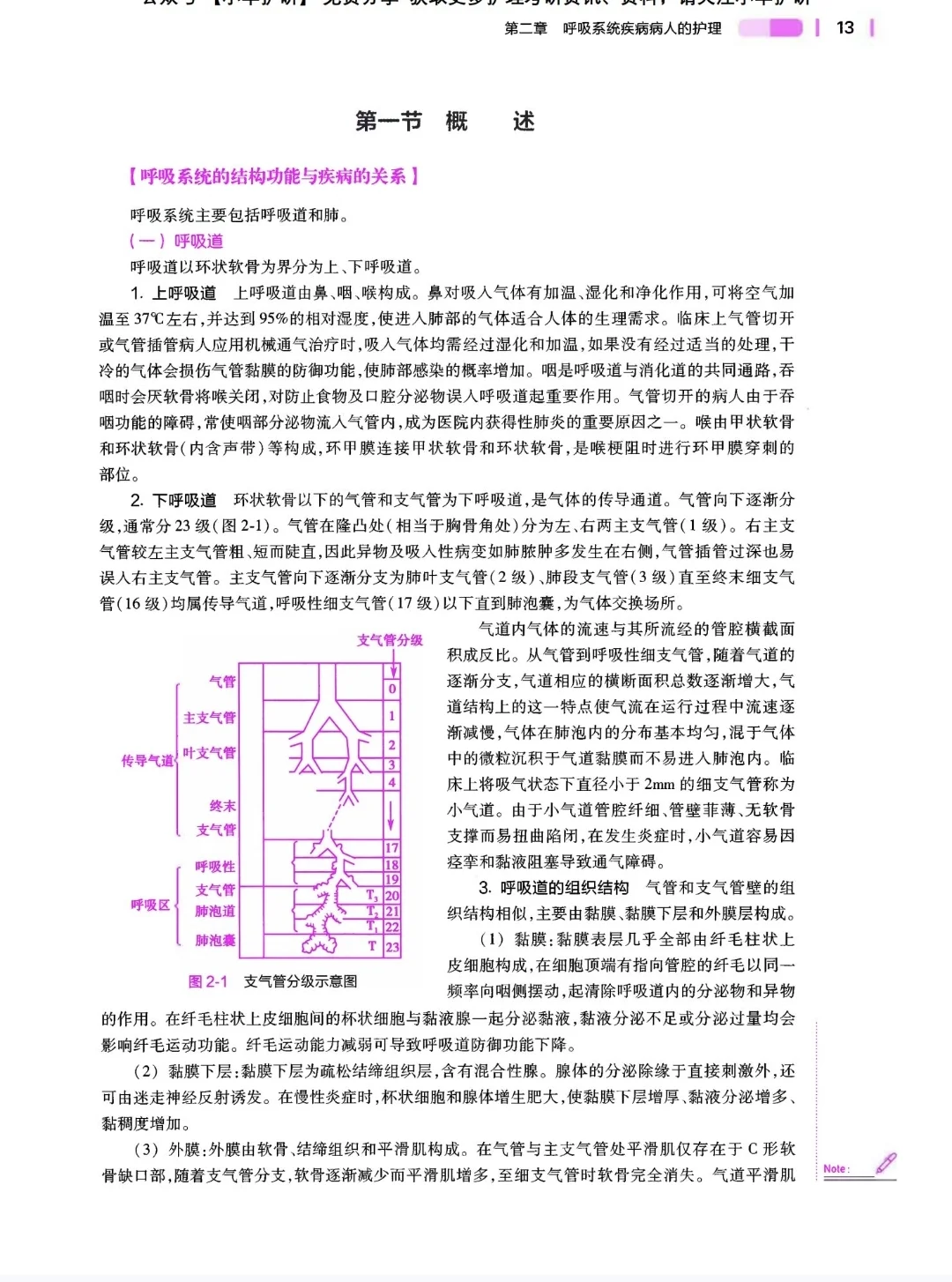 内科护理学（第七版）pdf