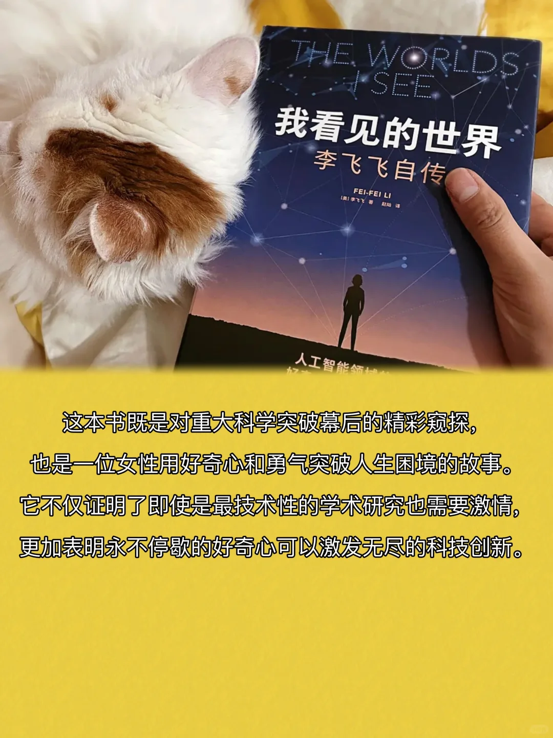 2024年度书榜排名，看看你读过几本？