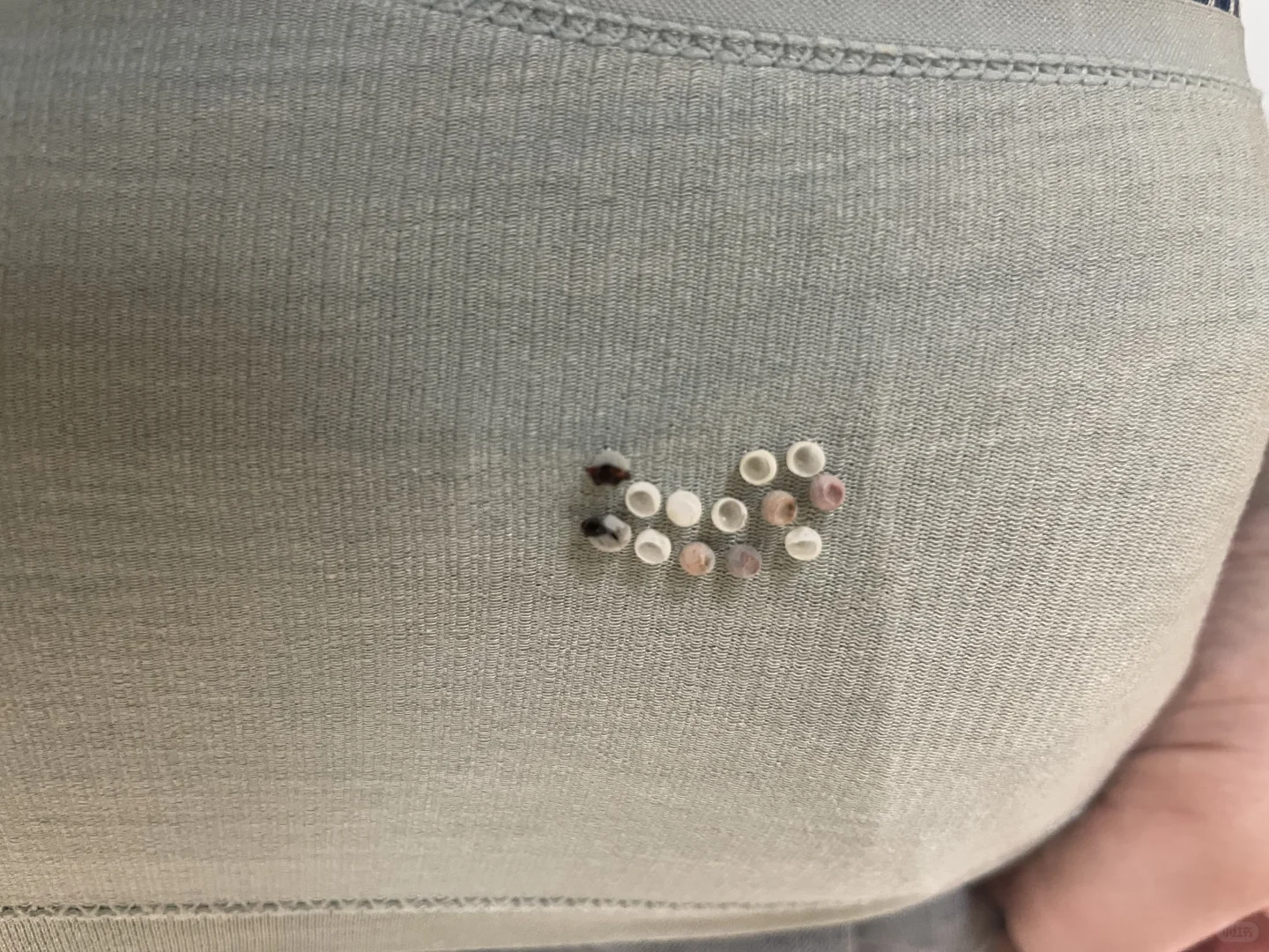 鸡皮疙瘩都起来了
