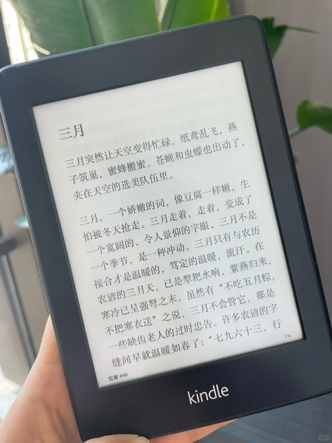 🎯kindle党速码这个电子书库🔥看书自由啦🥳