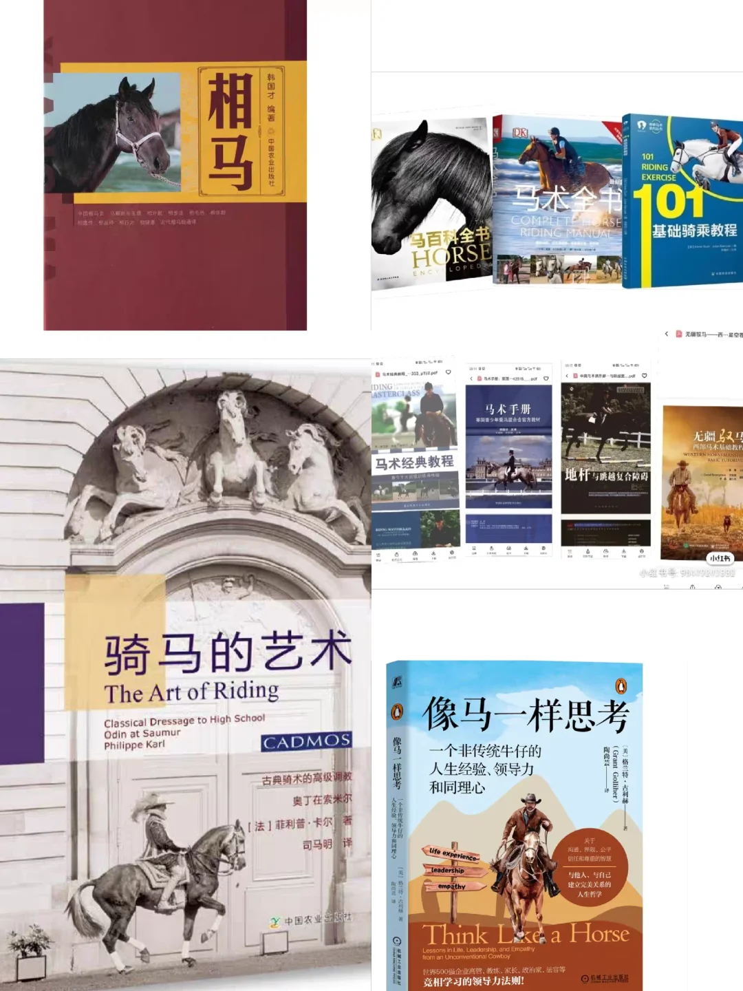 10本马术大全pdf
