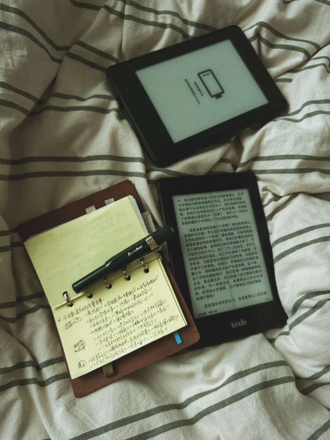 今年阅读目标：用两台kindle读完残雪作品