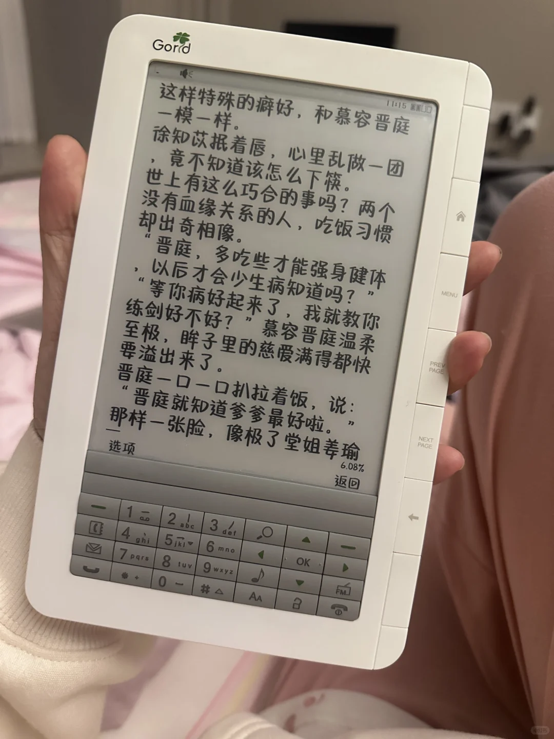 毕升 TW600 收到玩一下