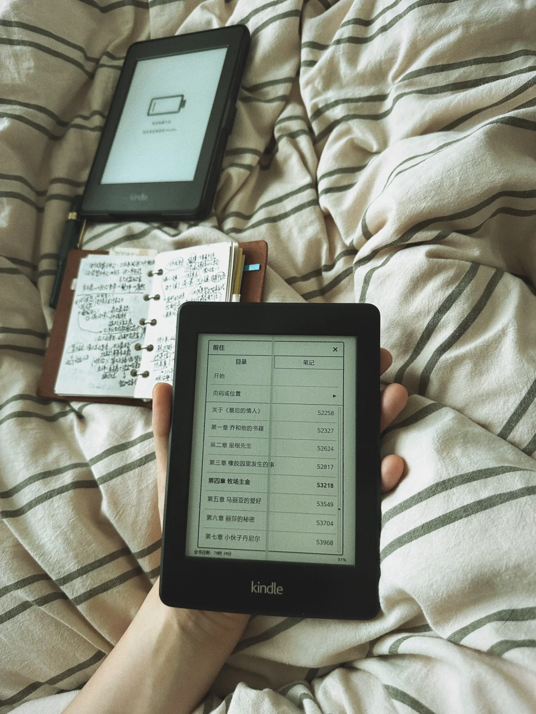 今年阅读目标：用两台kindle读完残雪作品