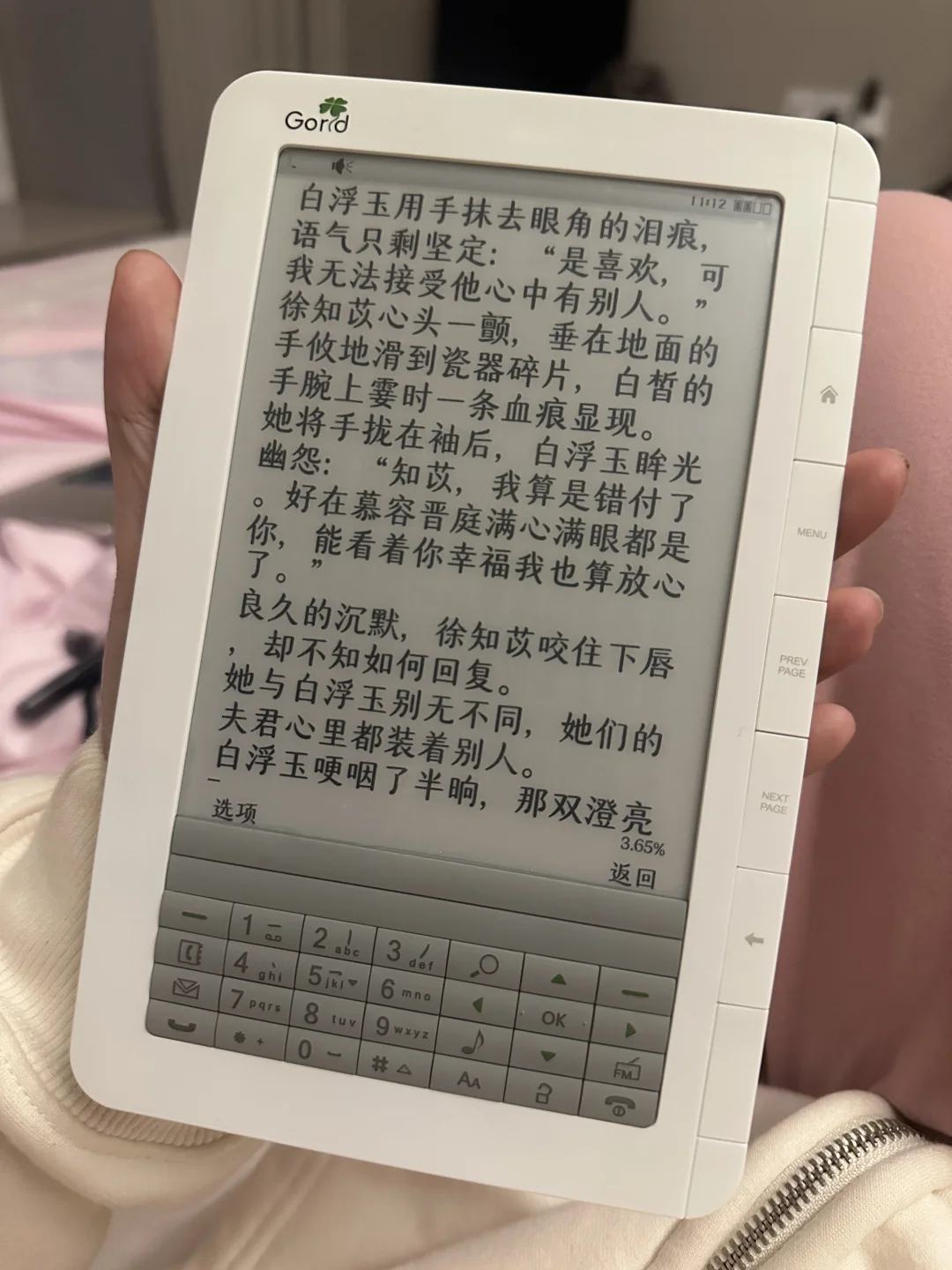 毕升 TW600 收到玩一下