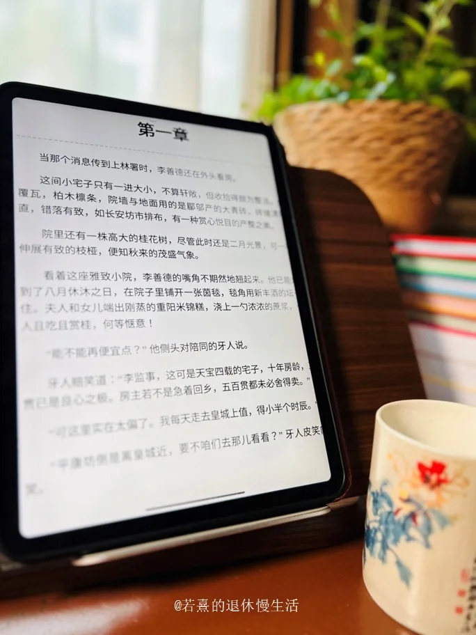好奇《长安的荔枝》为啥火⁉️电子书看起来