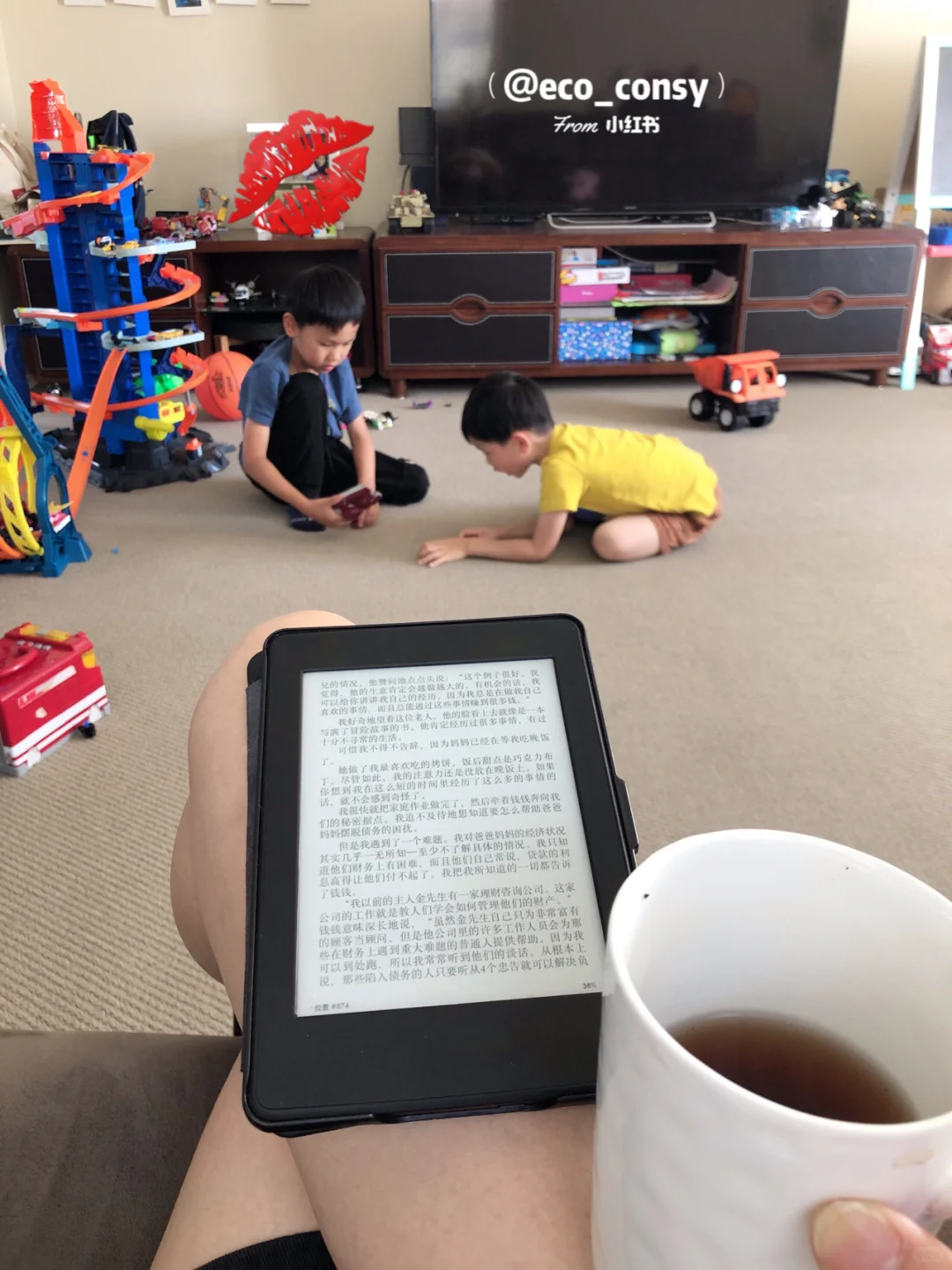 我的环保图书自由｜Kindle