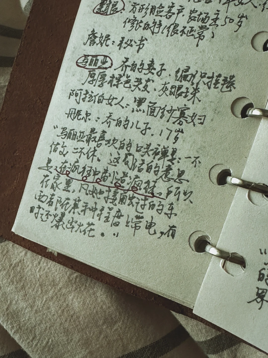 今年阅读目标：用两台kindle读完残雪作品