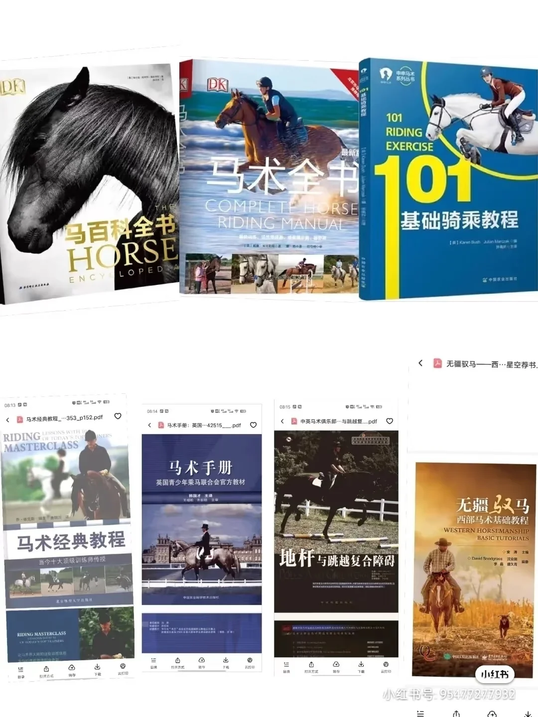 10本马术大全pdf