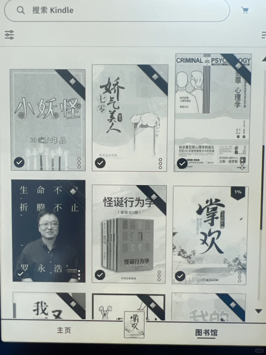 新到手的kindle❤️小说有封面了