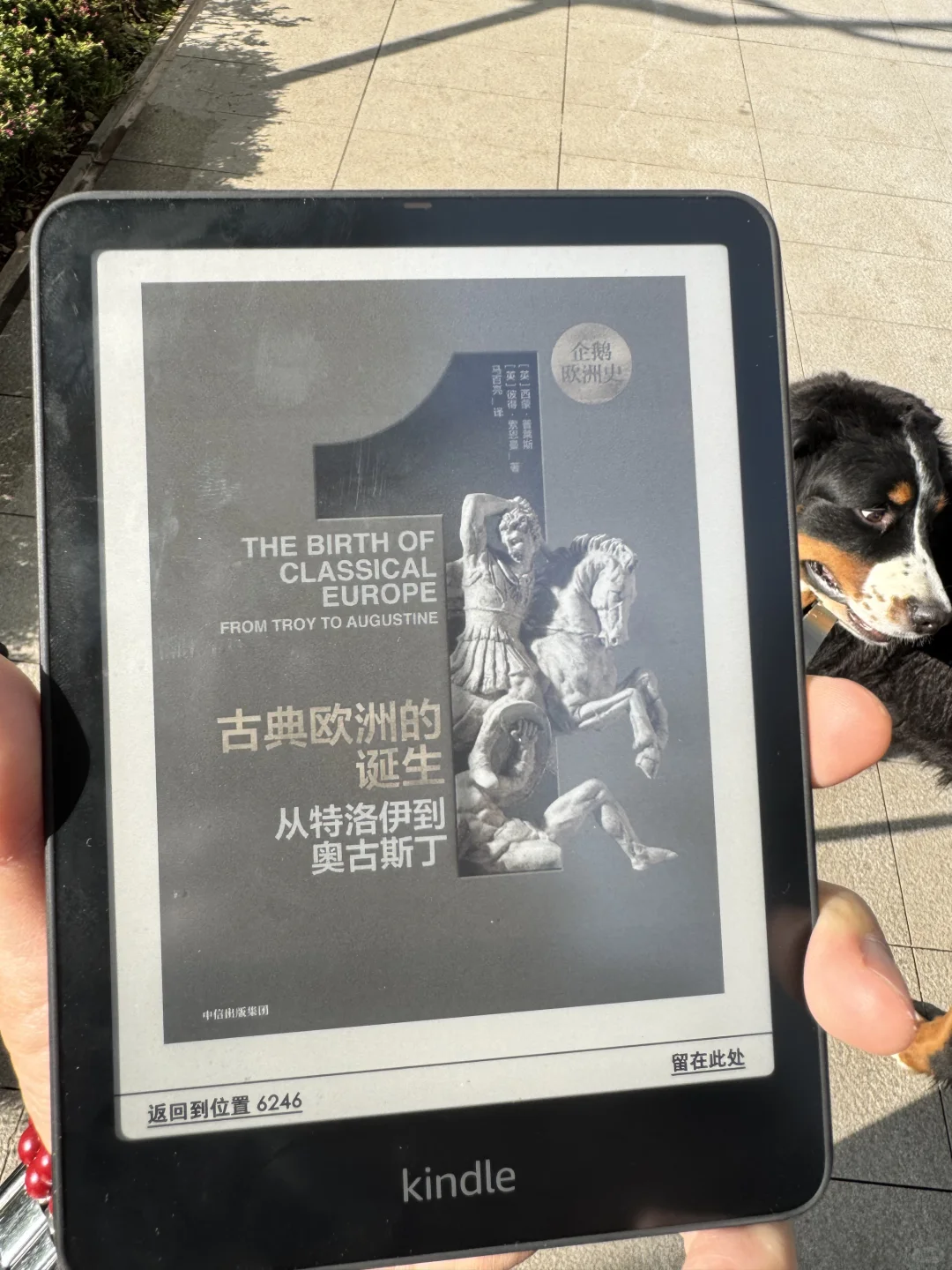 kindle colorsoft就是要在阳光下看