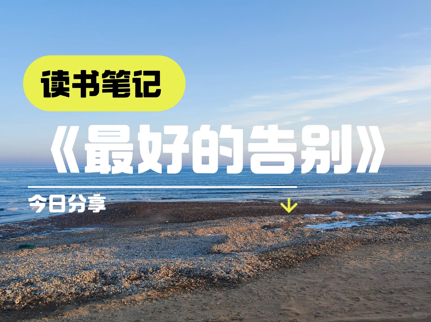 好书推荐《最好的告别》