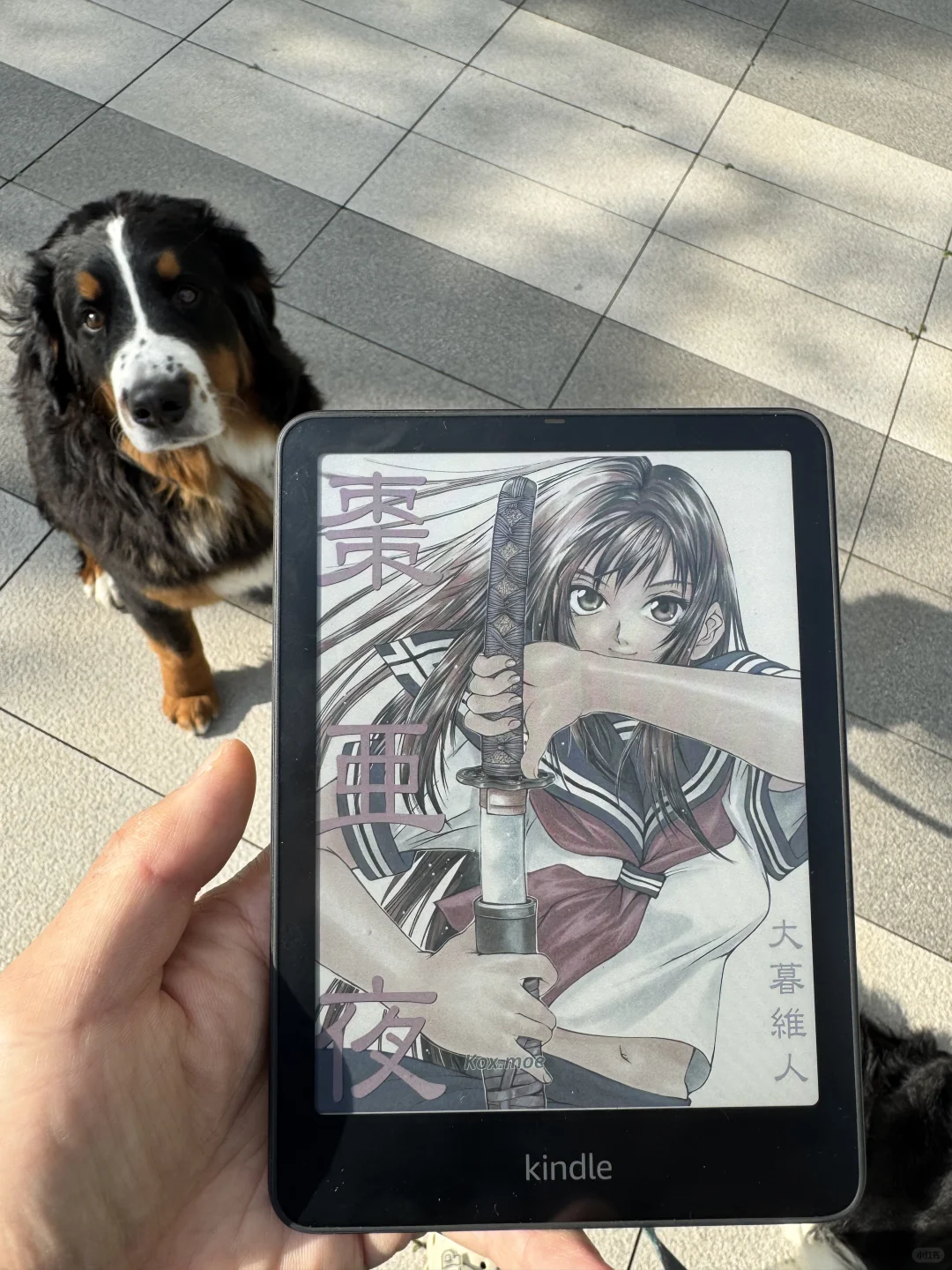 kindle colorsoft就是要在阳光下看