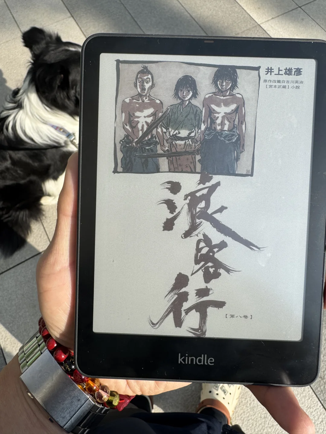 kindle colorsoft就是要在阳光下看