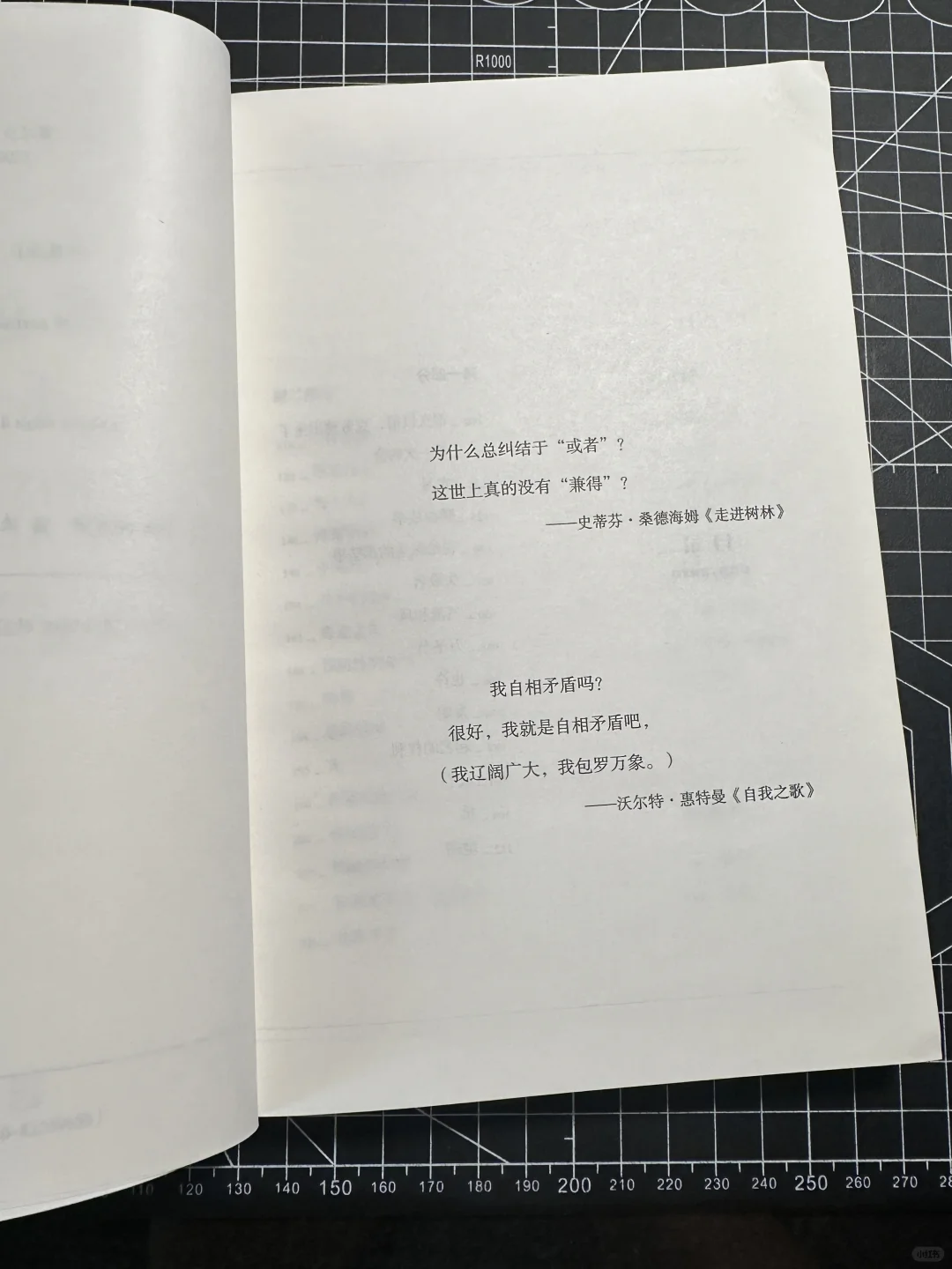 当我看了一整年kindle后翻开纸质书