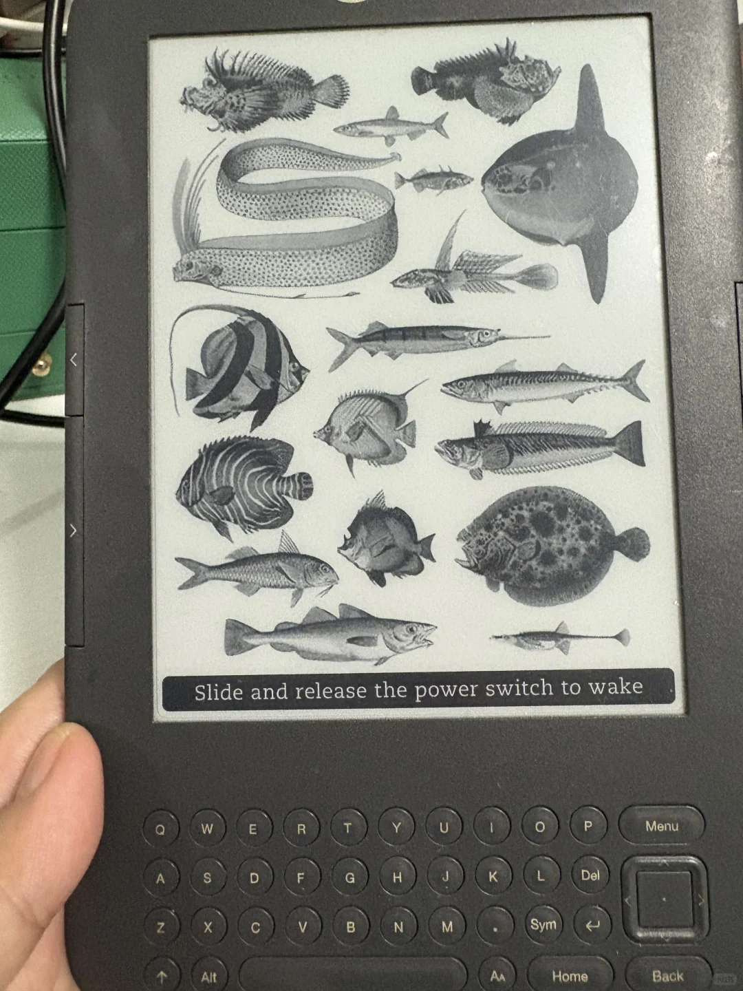 我的第一台Kindle