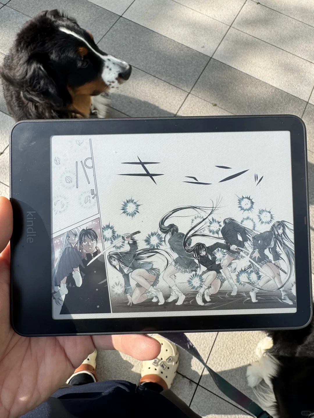 kindle colorsoft就是要在阳光下看