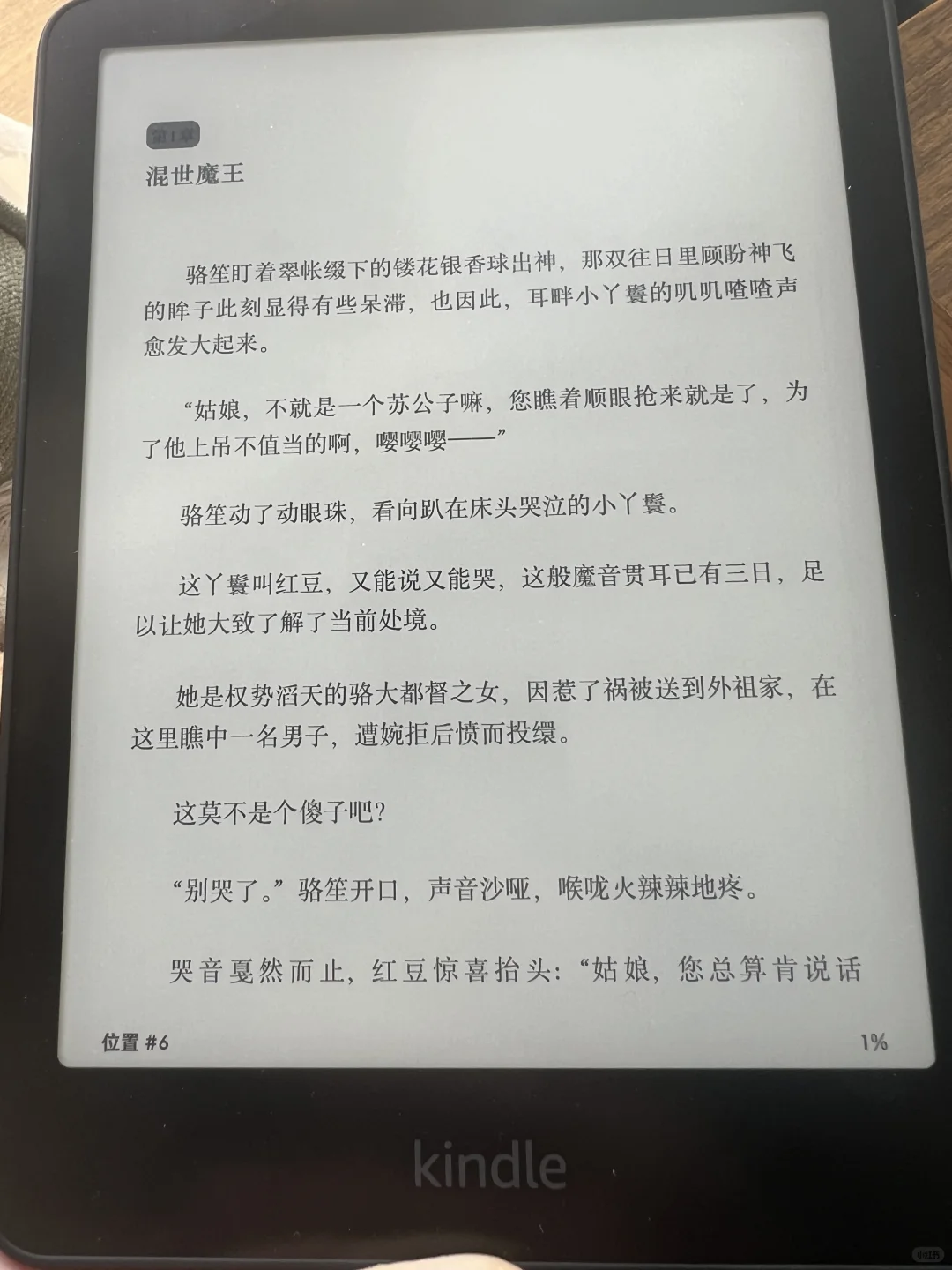 新到手的kindle❤️小说有封面了