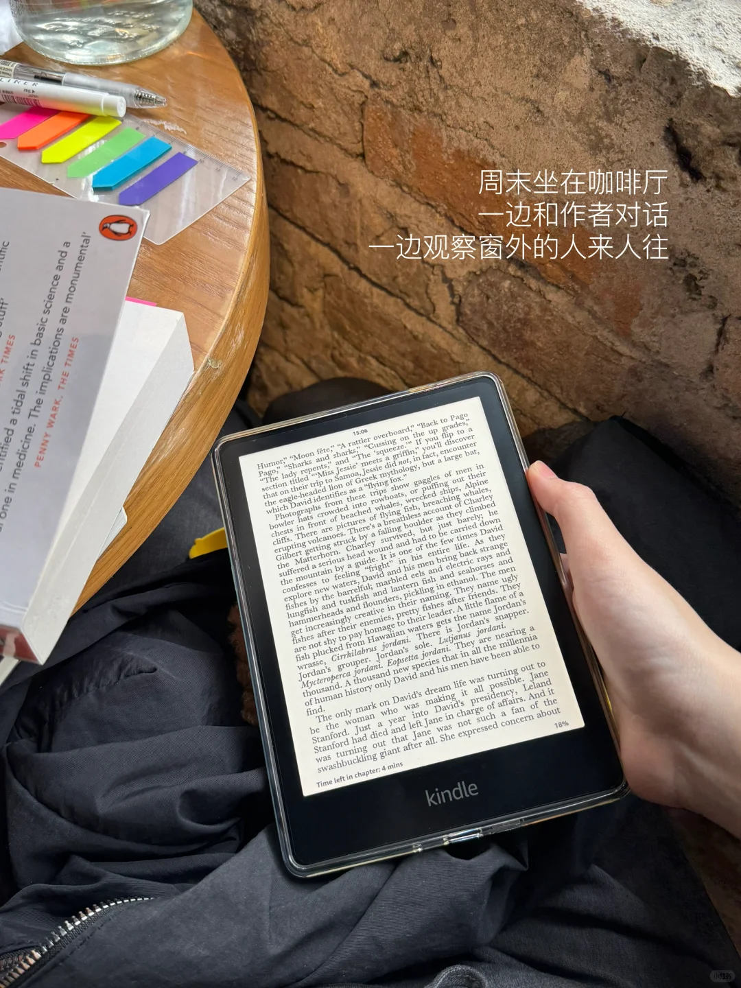 一些和Kindle的日常