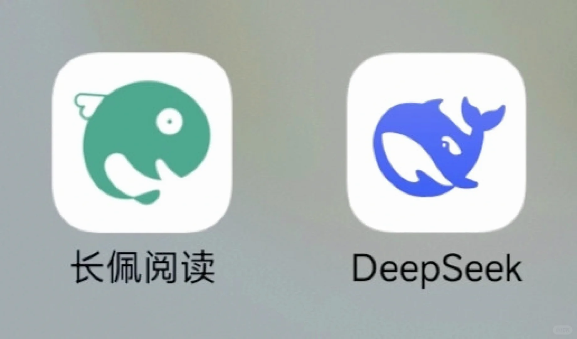 本来想查资料的，一个手滑开始看小说了