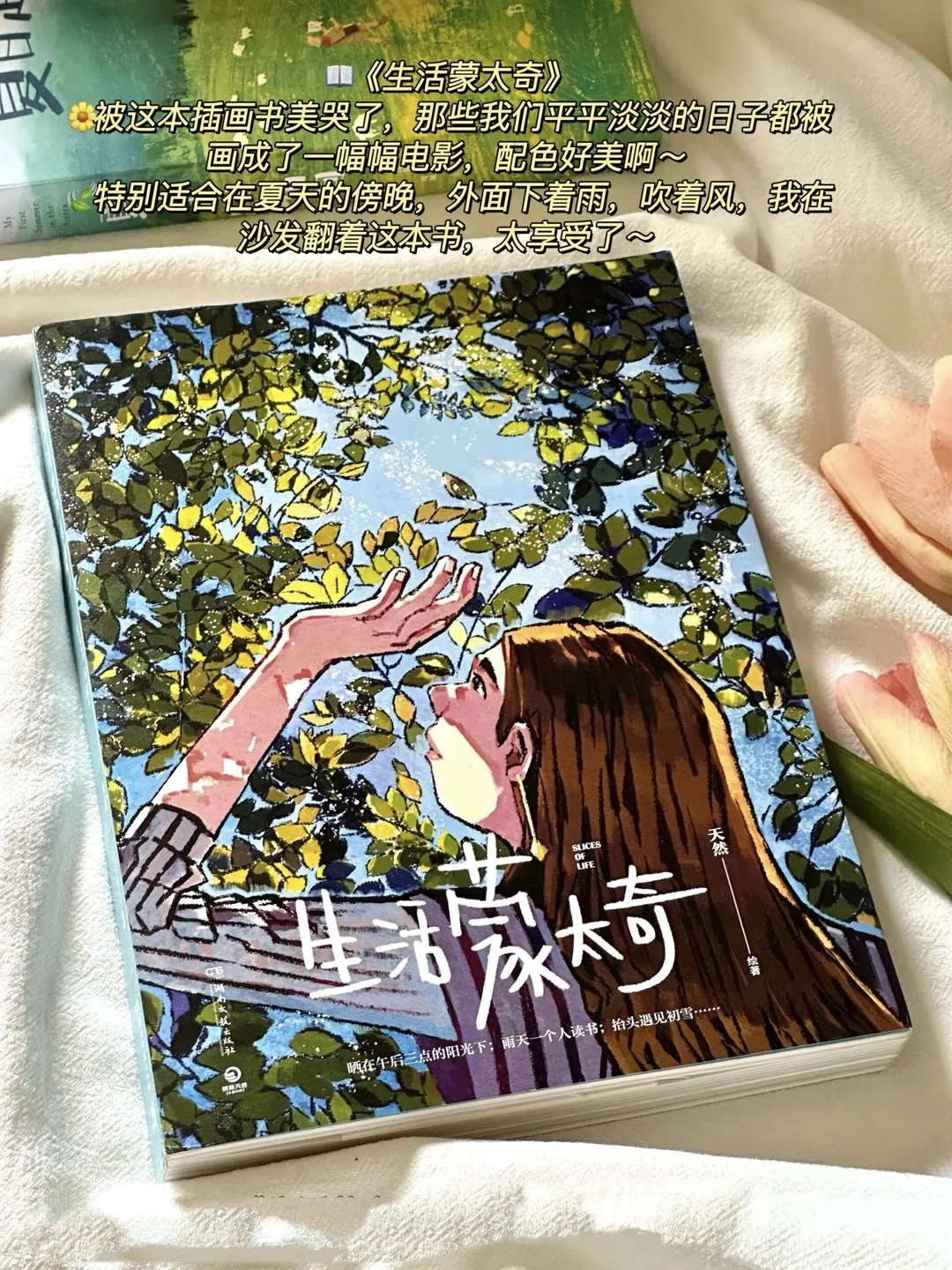 🌿夏日治愈书单 | 邂逅心灵的宁静角落