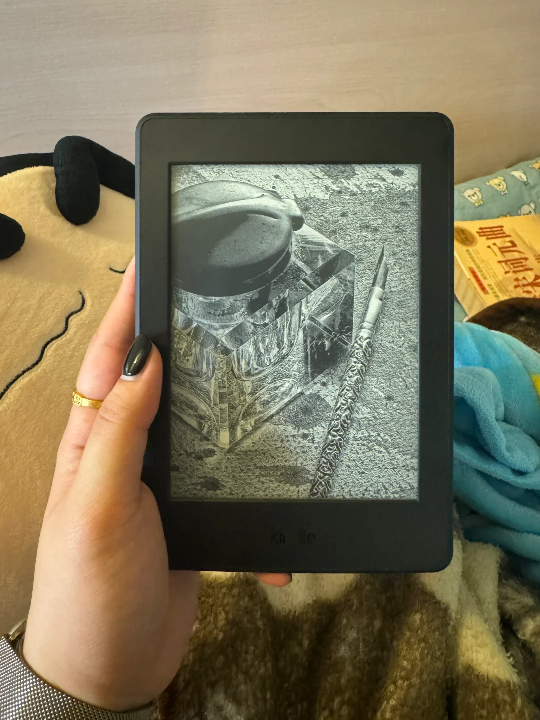 日子也是好起来了 用上kindle了