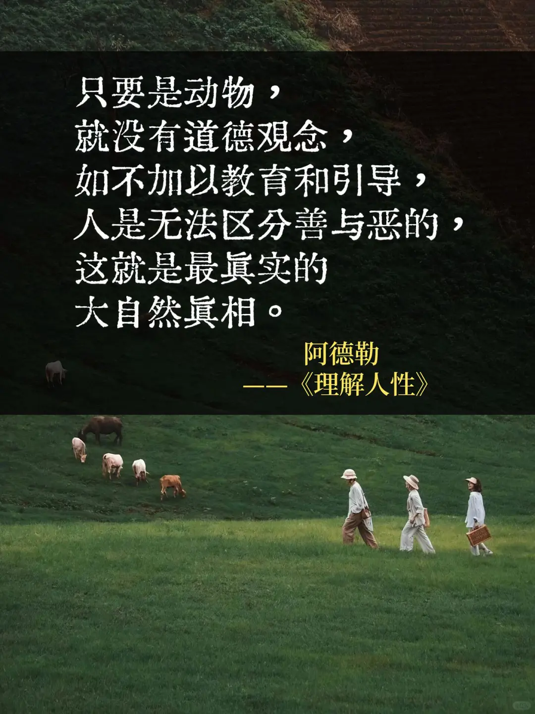 书单｜行走世间，你不可不知的人性奥秘?