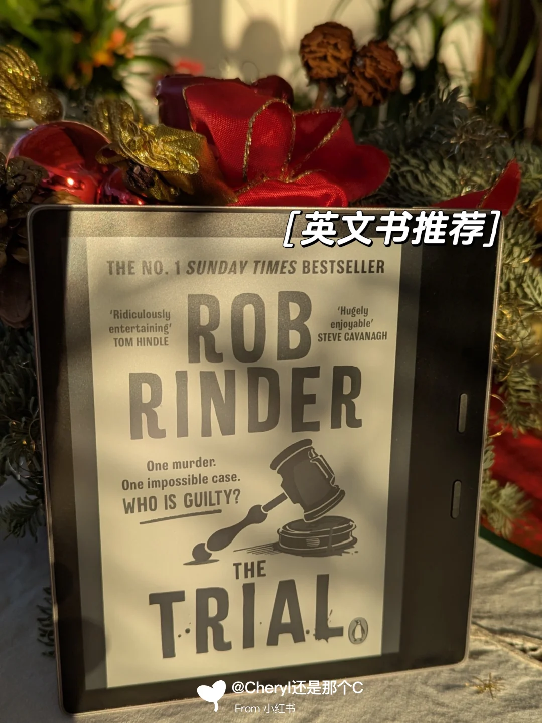 英国书单(1)：The Trial 真.相到底是什么?