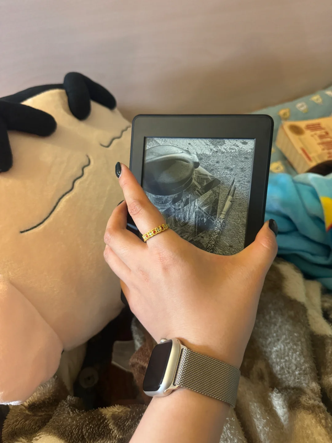 日子也是好起来了 用上kindle了