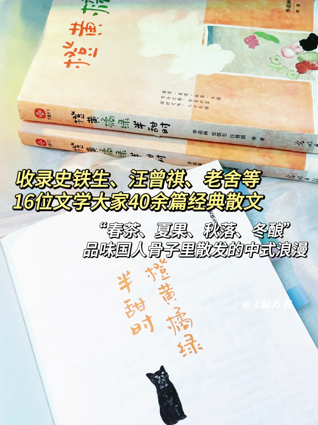 不愧央妈推荐！足以封神的文笔太太太治愈！