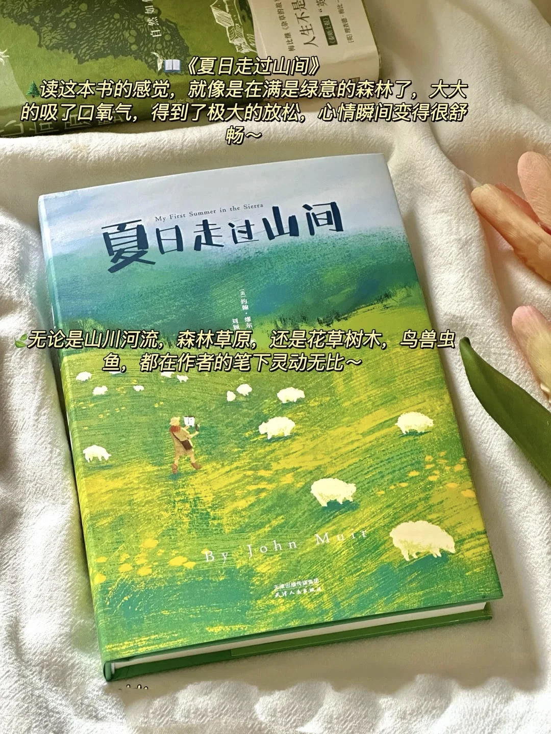 🌿夏日治愈书单 | 邂逅心灵的宁静角落