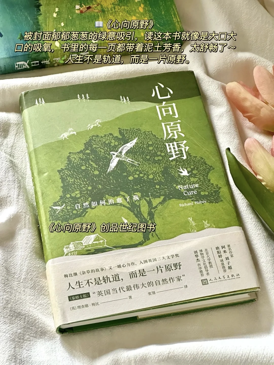 🌿夏日治愈书单 | 邂逅心灵的宁静角落