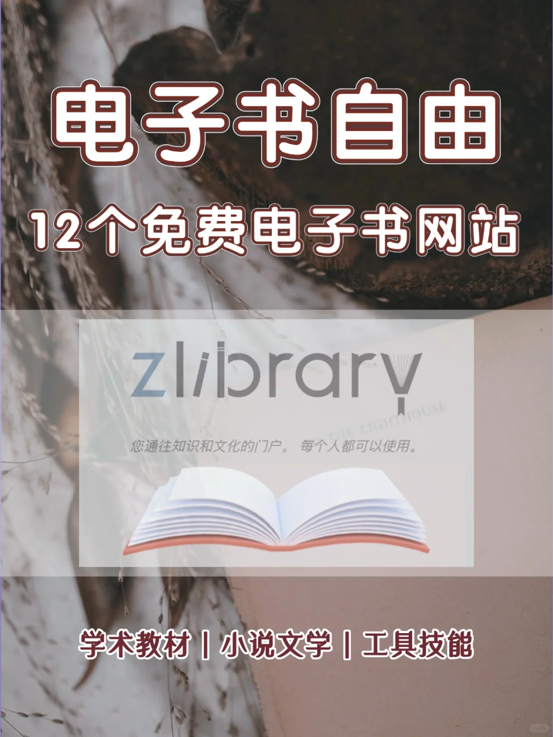 📚12个免费电子书网站 |快来实现电子书自由