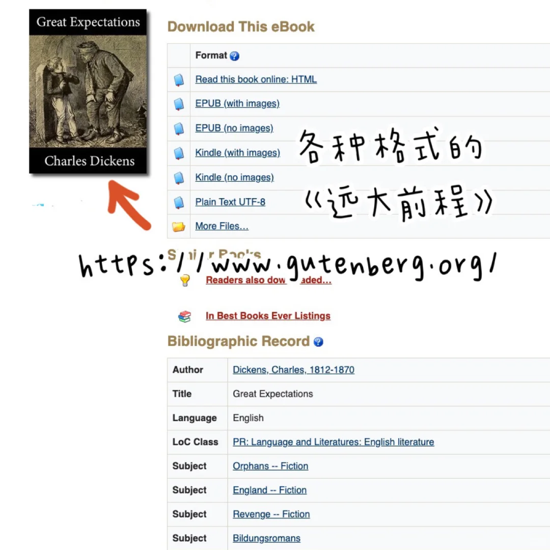 北大学姐学英语必备：没有我找不到的电子书