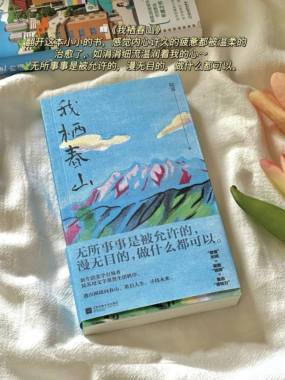 🌿夏日治愈书单 | 邂逅心灵的宁静角落
