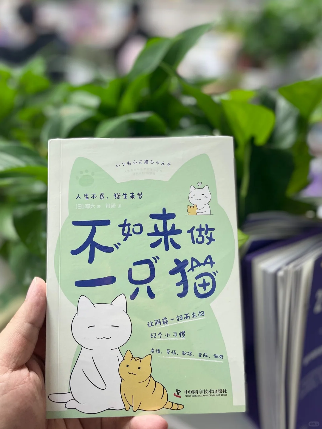 🎁赠书！拯救内耗的治愈书单来啦～