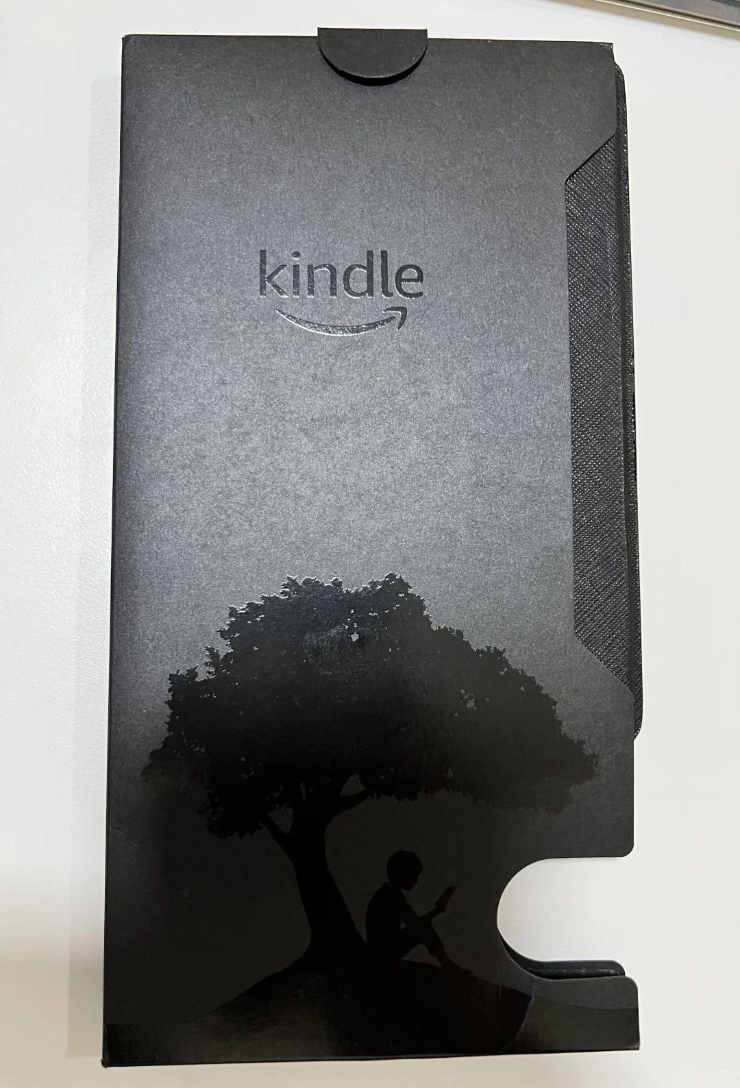 ➗Kindle (10th generation)