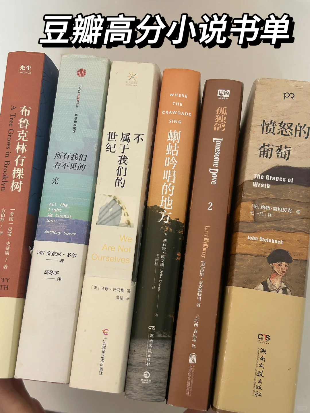 豆瓣高分小说书单｜在书里得到向上的力量❗️