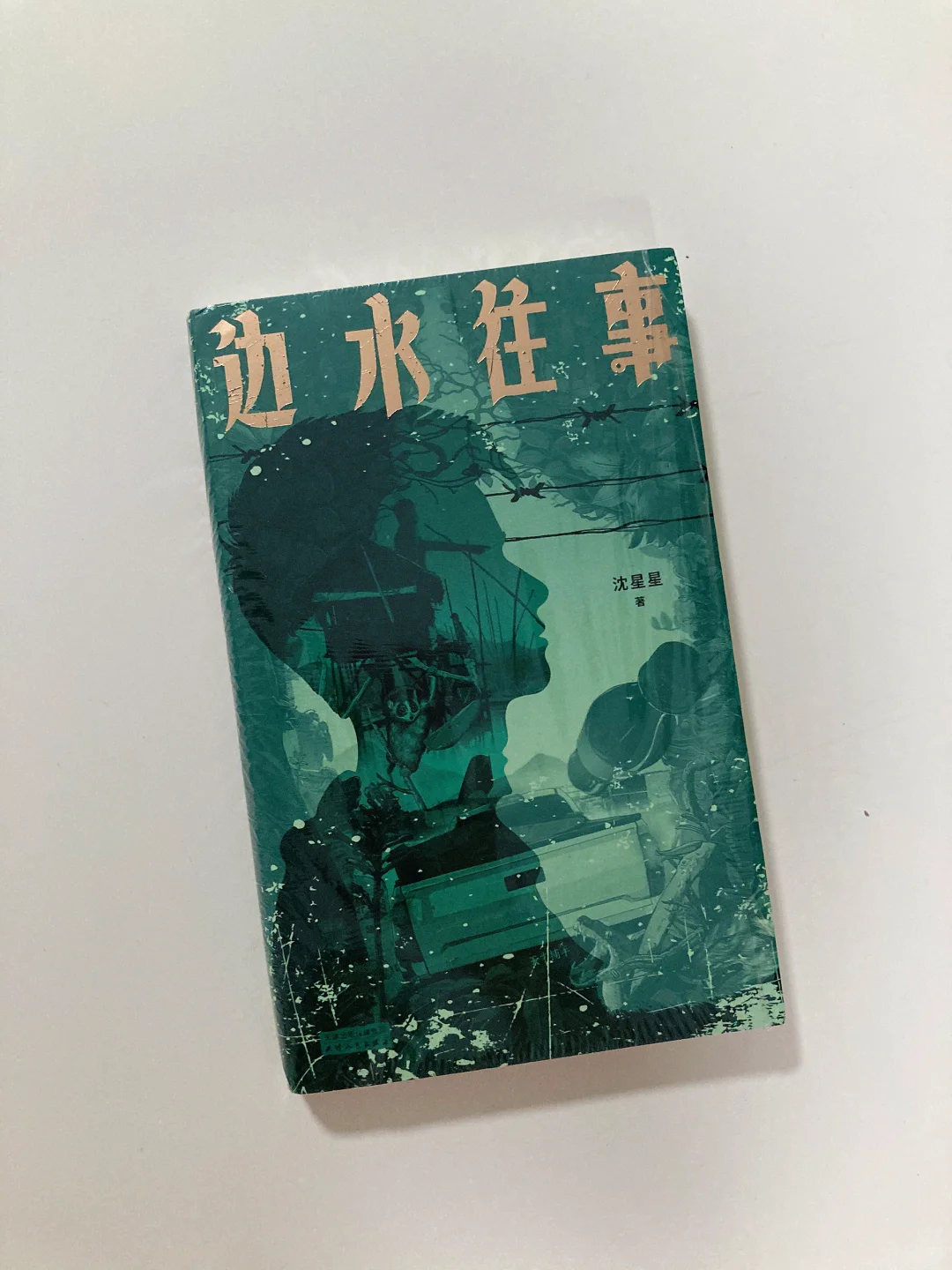 纪实文学书单📚-天才捕手计划14本