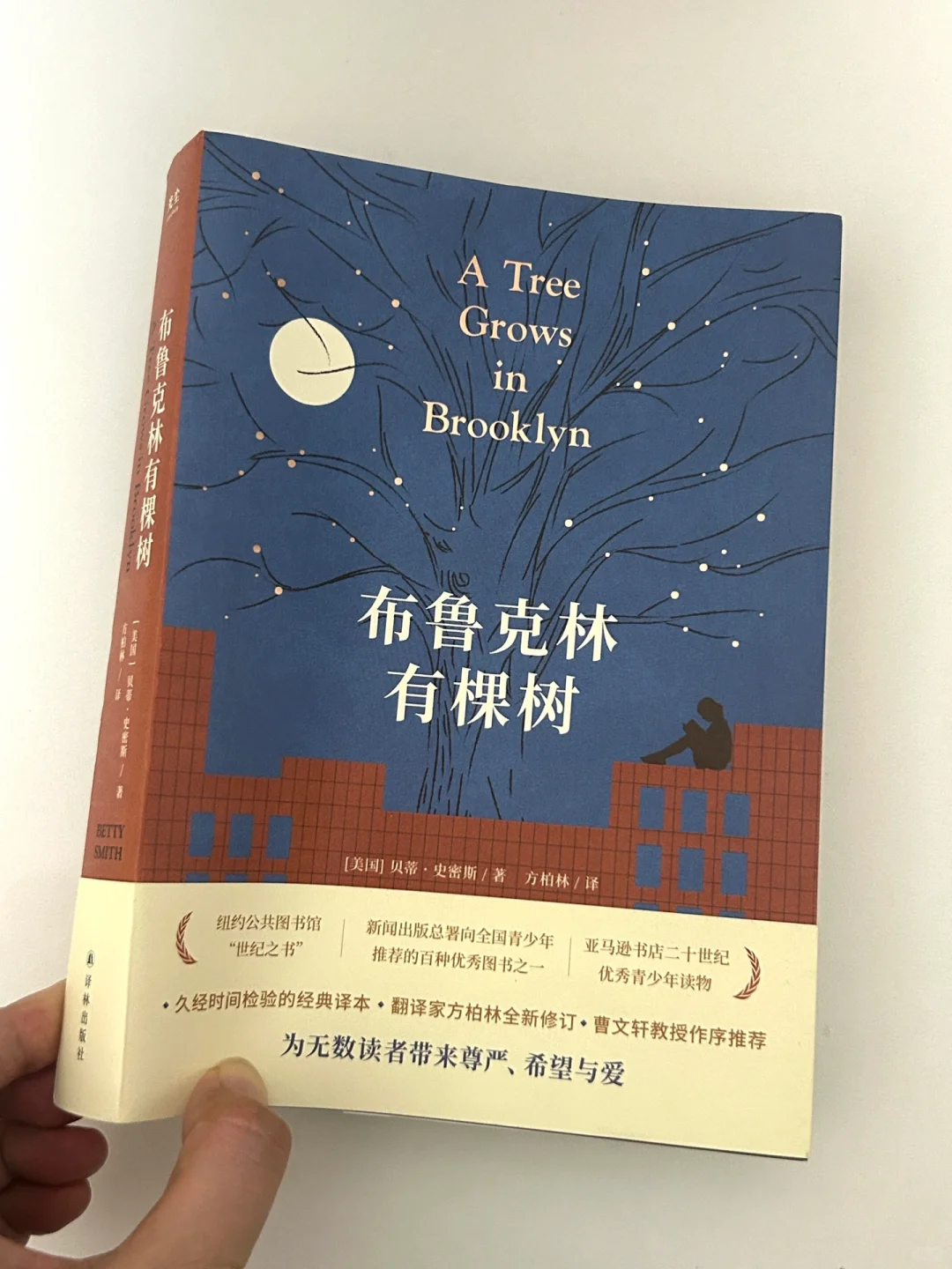 豆瓣高分小说书单｜在书里得到向上的力量❗️