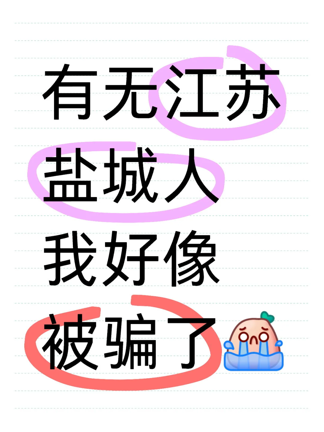 中国人专骗中国人